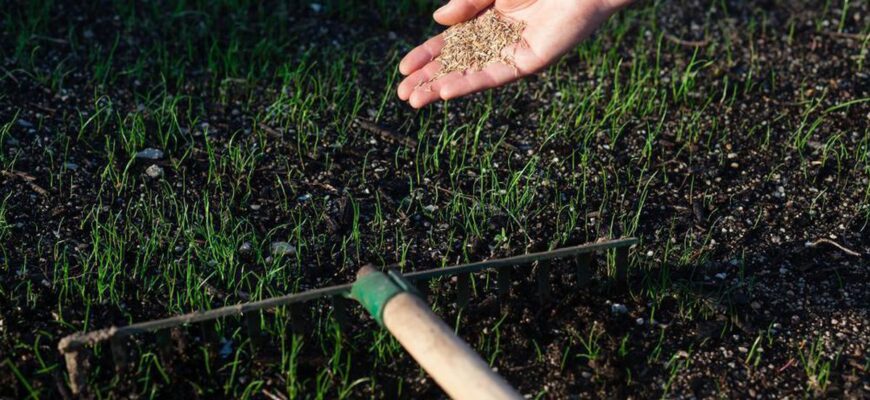 Розкидала насіння цього прямо на сніг: накрила гілками – і весною сходи густіші, ніж у всіх на городі