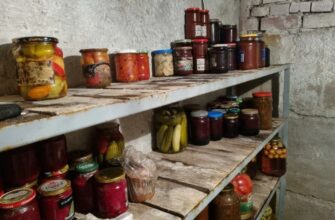 🗞️ 2 старі газети і 1 поліетиленовий пакет — мій підвал перестав сиріти навіть без опалення: геніальний лайфхак від дідуся