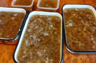 5-літрову каструлю холодцю вилила в унітаз через 1 помилку з м’ясом: тепер завжди перевіряю його ось на що