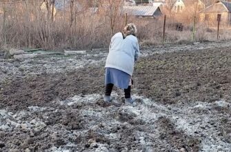 Вапнування ґрунту. Важливі моменти, які повинен знати кожен дачник