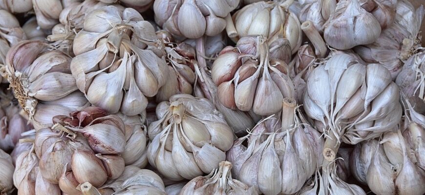 Коли найкраще садити часник і цибулю: сприятливі дні в листопаді