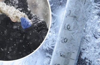 Погода перейде у календарну зиму: синоптики дали новий прогноз