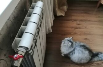 Щоб батареї гріли у 3 рази краще, кладу туди 1 штучку: піднімає температуру в кімнаті на 2 градуси за 20 хв