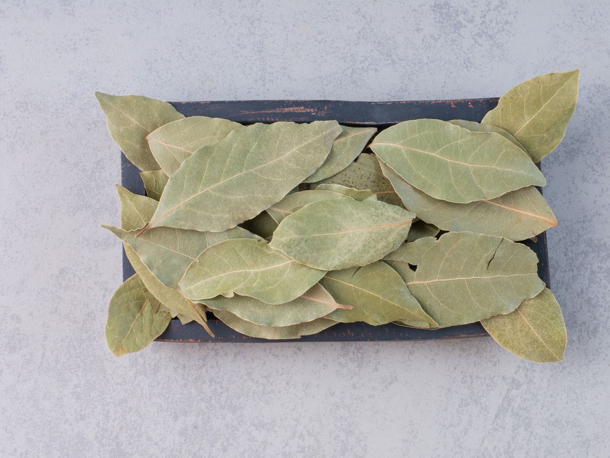 Експерти розповіли, як очистити повітря у вітальні, аби не було неприємних ароматів вдома