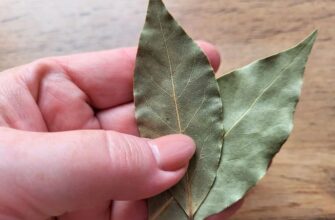 3 листочки лавра кинула під килимок в коридорі – і надокучлива проблема пішла з мого життя сама собою