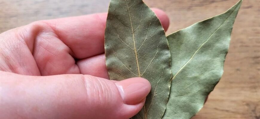 3 листочки лавра кинула під килимок в коридорі – і надокучлива проблема пішла з мого життя сама собою