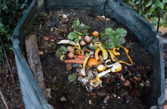 Купи листя – заввишки 2 метри: не викидаю, не спалюю, не вивожу – роблю з них компост за 4-6 місяців