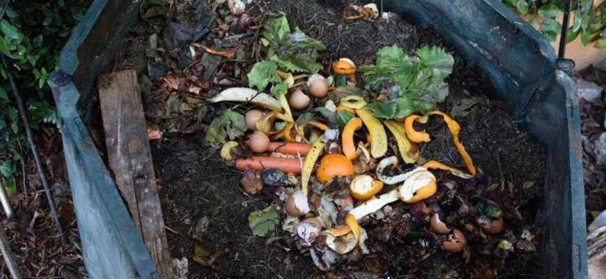 Купи листя – заввишки 2 метри: не викидаю, не спалюю, не вивожу – роблю з них компост за 4-6 місяців