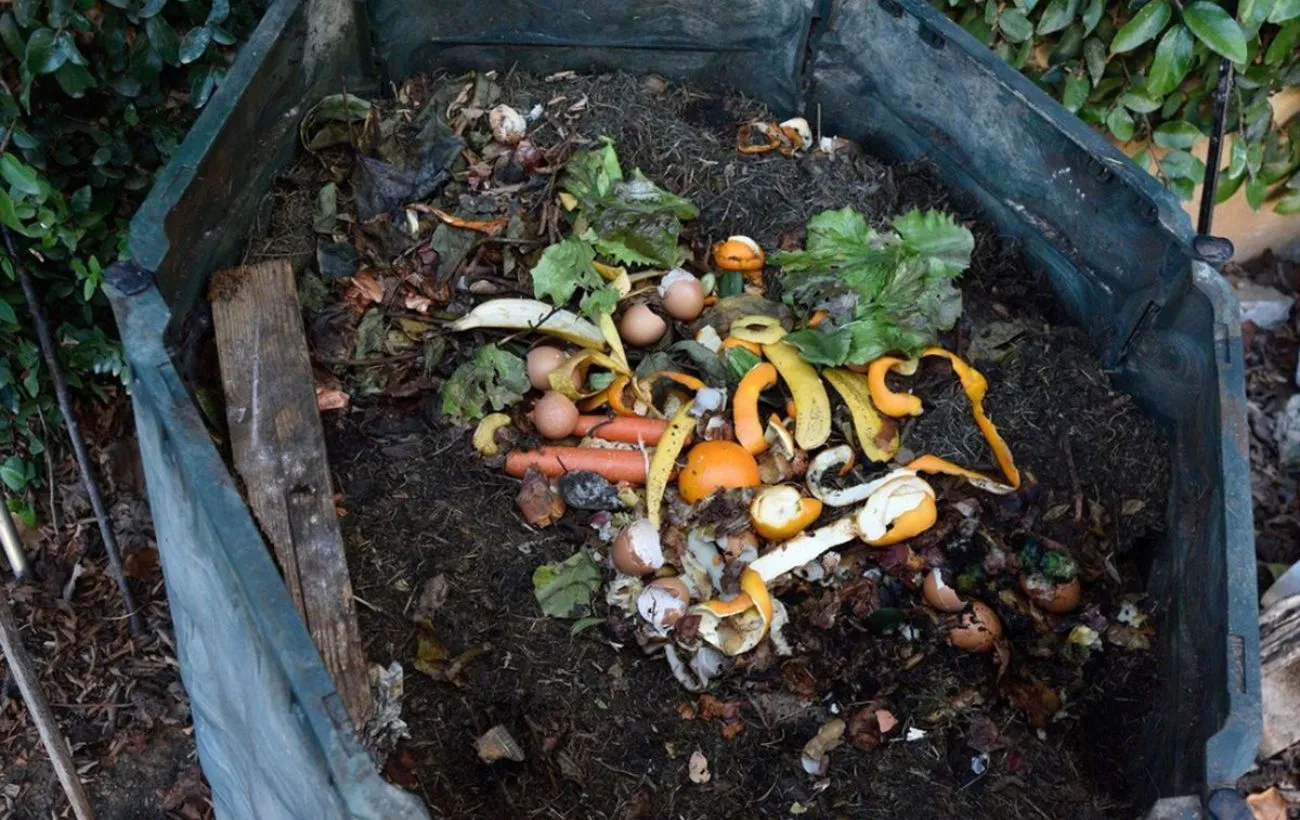 Городники розповіли, як пришвидшити дозрівання компосту