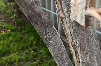 Осіння побілка дерев — чи варто білити сад у листопаді