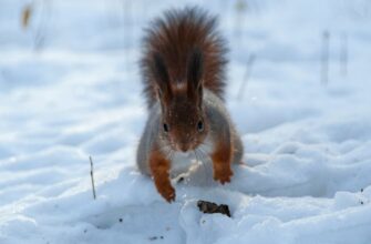 На Україну насувається найсильніше похолодання за 70 років: синоптик про погодні сюрпризи