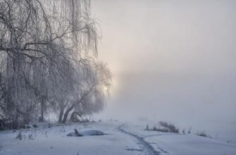 Аномаліям бути? Синоптик розповів, чи чекати взимку в Україні лютих морозів