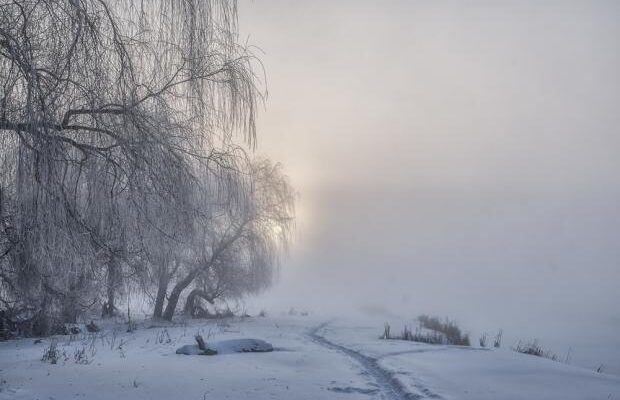Аномаліям бути? Синоптик розповів, чи чекати взимку в Україні лютих морозів