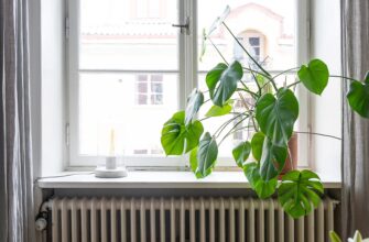 По 10 крапель на батарею – і вдома пахне, як у спа-салоні: натуральний зимовий ароматизатор за копійки