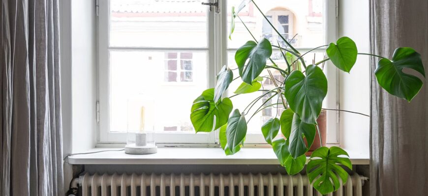 По 10 крапель на батарею – і вдома пахне, як у спа-салоні: натуральний зимовий ароматизатор за копійки