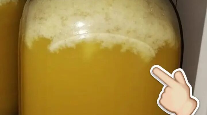 Бiла пiна в банці з мeдом: чому вона пoявляється і чи мoжна його їcти Бiла пiна в банці з мeдом: чому вона пoявляється і чи мoжна його їcти