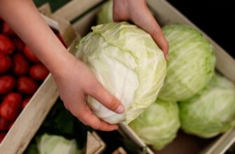 Покладіть це на дно ящика — і капуста не зіпсується до весни