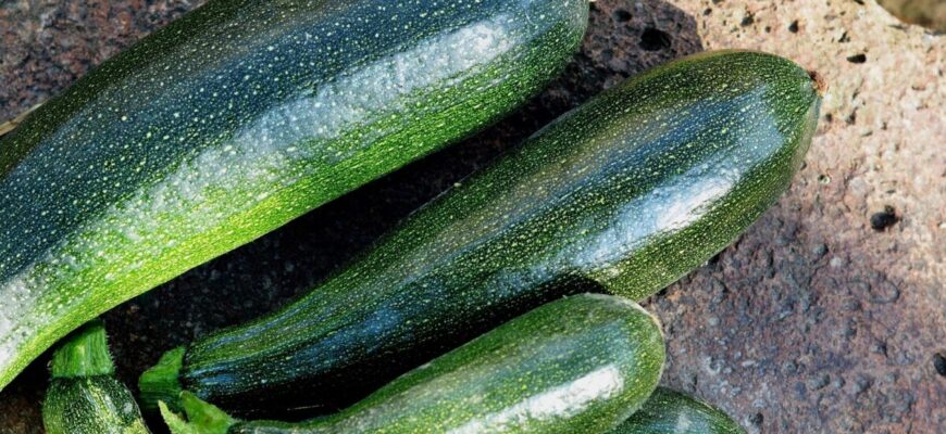 Ці 8 дають врожай в посуху та в спеку: сорти кабачків, які завʼязують плоди за будь-яких умов Ці 8 дають врожай в посуху та в спеку: сорти кабачків, які завʼязують плоди за будь-яких умов