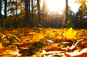 Де +3, а де +17: синоптик Діденко попередила, погода завтра буде дуже різною