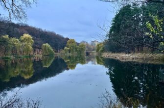 До +14, а потім мороз і знову тепло: синоптик Діденко дала прогноз на п’ятницю та аж до понеділка