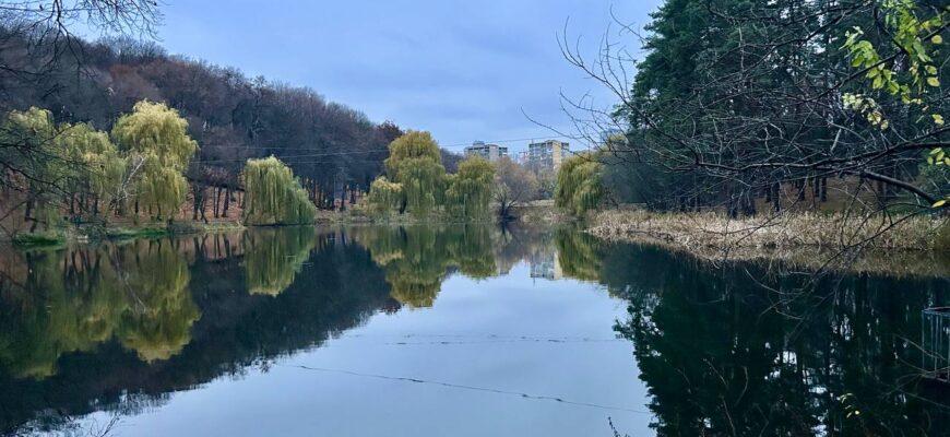 До +14, а потім мороз і знову тепло: синоптик Діденко дала прогноз на п’ятницю та аж до понеділка