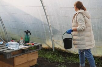 Теплицю закриваю не одразу: 2 вечірні прийоми восени рятують від плісняви та мишей до самої весни