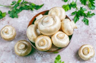 Чи потрібно промивати гриби перед приготуванням: 1 зрозуміле роз’яснення експертів