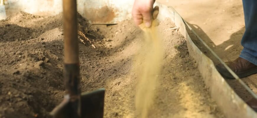 Всього 100 г на метр, і земля, як нова: без хвороб, шкідників, пухка та родюча — вношу це щороку та радію