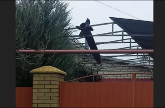 Гірше, ніж у 2023 році: Росія в жовтні випустила по Україні рекордну кількість ракет – аналітики