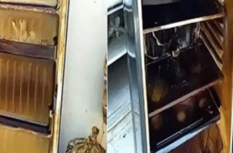 Хлопчику наклали 38 швів, бо холодильник раптово ВИБУХНУВ