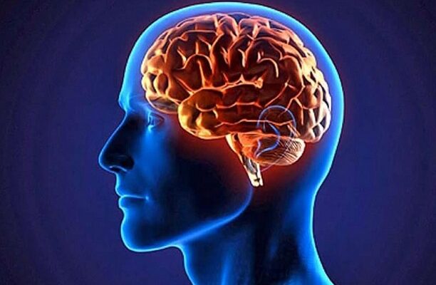 Хочете зберегти ясний розум? Доведеться менше їсти – і ось чому