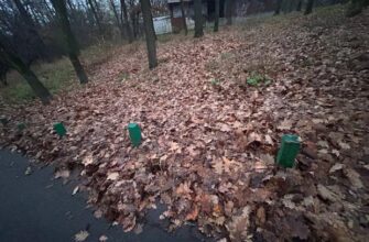 Холод вдарить по всій Україні: Синоптикиня назвала дату ще більшого похолодання