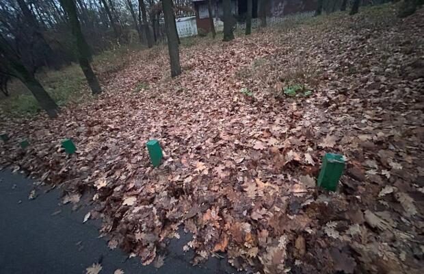 Холод вдарить по всій Україні: Синоптикиня назвала дату ще більшого похолодання