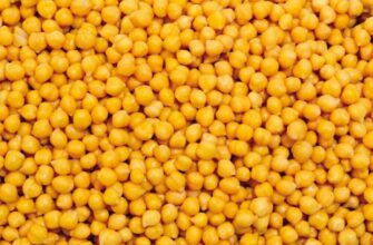 Господиням на замітку! Як правильно варити горох і що додати у воду, щоб він швидко розварився і був м’яким