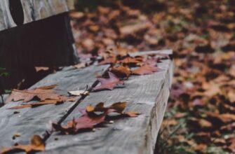 Готуйте шапки! В Україну ввірветься нова хвиля похолодання – синоптикиня назвала дату