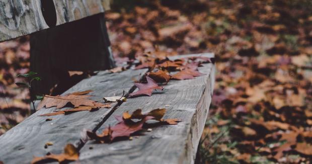 Готуйте шапки! В Україну ввірветься нова хвиля похолодання – синоптикиня назвала дату