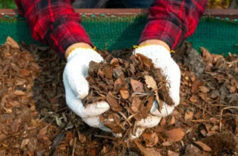 Куди подіти опале листя. Не спішіть його викидати або спалювати, воно ще принесе вам користь