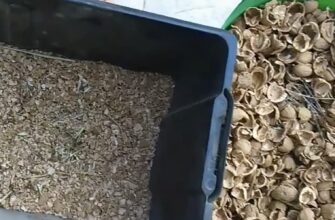 Горіхову шкаралупу не викидаю, а складаю у пакетик — і в комору: щойно прийде тепло, це буде незамінна річ