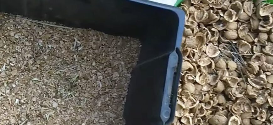 Горіхову шкаралупу не викидаю, а складаю у пакетик — і в комору: щойно прийде тепло, це буде незамінна річ