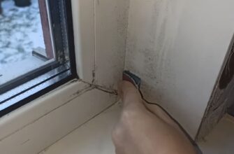 Пліснява розчиняється буквально на очах — навіть терти не треба: 1 розчин змінив мій побут на 180 градусів