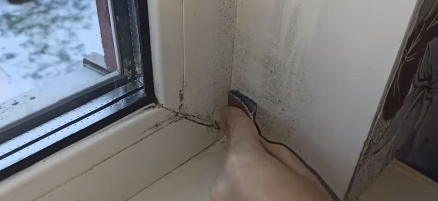 Пліснява розчиняється буквально на очах — навіть терти не треба: 1 розчин змінив мій побут на 180 градусів