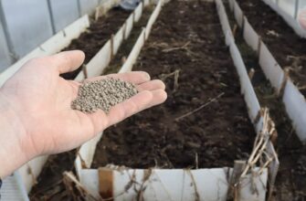 Розкидала 10 жменьок по теплиці та зарила граблями: роблю це до морозів і покращую родючість ґрунту у 4 рази