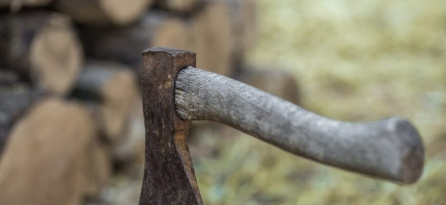 Дід Микола навчив, як врятувати стару сокиру: 20 хвилин роботи — і лезо ріже дерево, мов масло