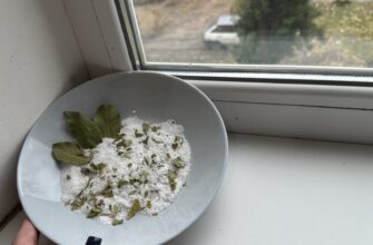 Ставлю на вікно піалу з сіллю, а туди – 3 “штучки” з кухні: це не забобони, а реальна користь для дому