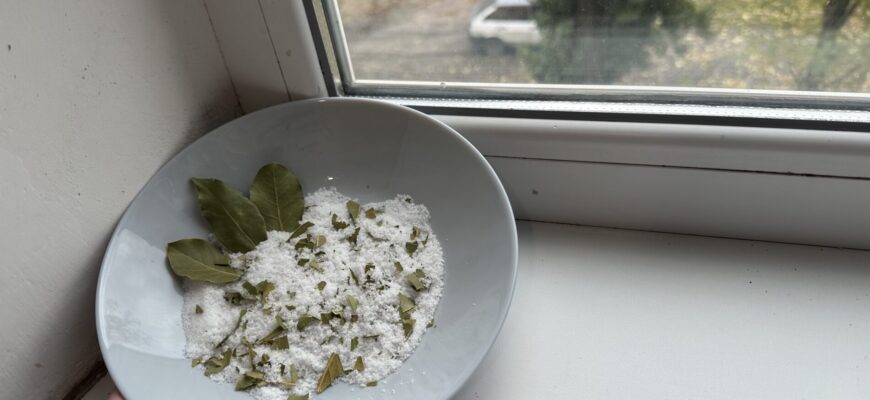 Ставлю на вікно піалу з сіллю, а туди – 3 “штучки” з кухні: це не забобони, а реальна користь для дому