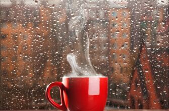 Істотне похолодання вже близько: Коли зміниться погода