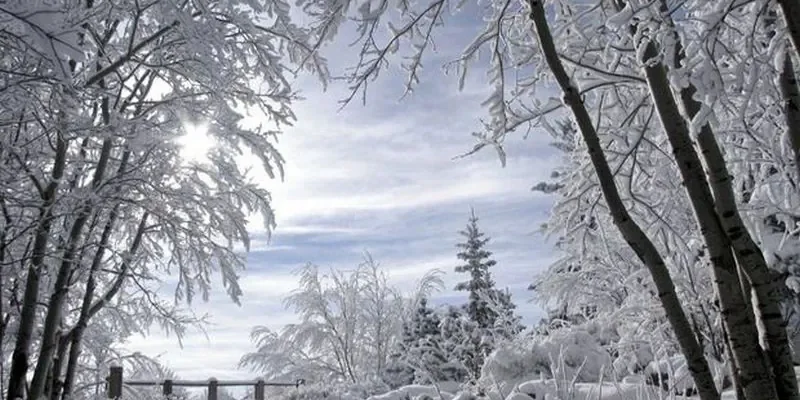 Якою буде зима 2025–2026 в Україні: синоптикиня здивувала прогнозом