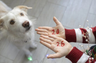 Коли святкуватимемо Різдво Христове 2025 року і чи буде в українців додатковий вихідний на Новий рік