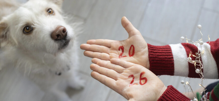 Коли святкуватимемо Різдво Христове 2025 року і чи буде в українців додатковий вихідний на Новий рік