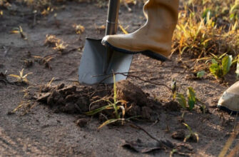 Краще за деревну золу та гній у 5 разів: посипте грядки цим добривом у листопаді